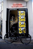 Cool Cats Yellow Shop Paris