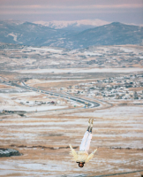 Ryan McGinley "The Highfliers"