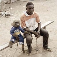 Pieter Hugo "The Hyena & Other Men"