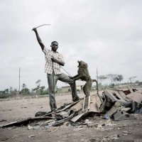 Pieter Hugo "The Hyena & Other Men"