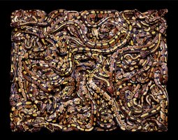 Art of the Serpent - Guido Mocafico