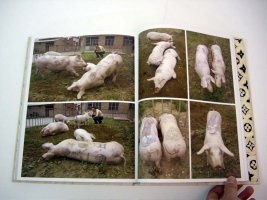 Wim Delvoye - Art Farming