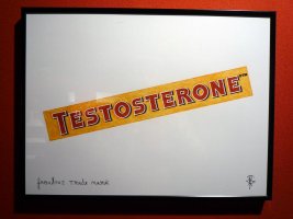 Fabulous Trade Mark, Testosterone
