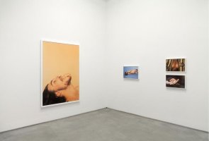 Ryan McGinley "Animals" & "Grids"