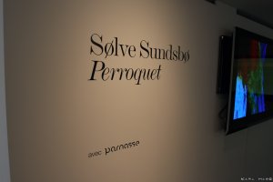 SÃ¸lve SundsbÃ¸ "Perroquet"