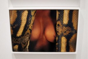 Ryan McGinley "Animals" & "Grids"