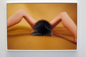 Ryan McGinley "Animals" & "Grids"