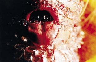 Marilyn Minter