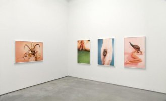 Ryan McGinley "Animals" & "Grids"