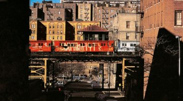 Redbird in the Bronx, 1973, Jon Naar